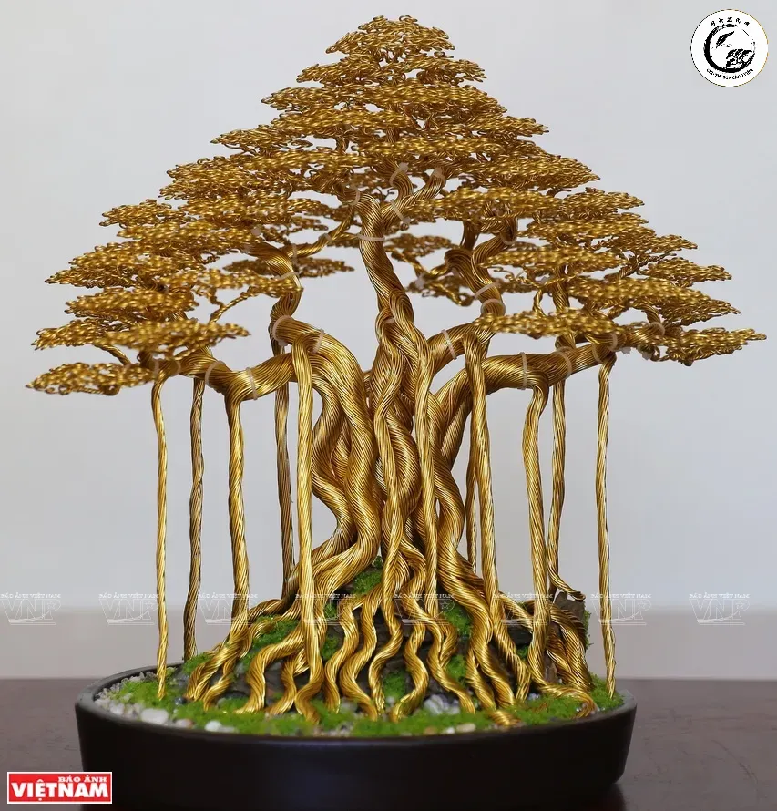 Kỹ thuật uốn dây là yếu tố then chốt trong nghệ thuật tạo hình Bonsai giúp định hướng sự phát triển của cành nhánh
