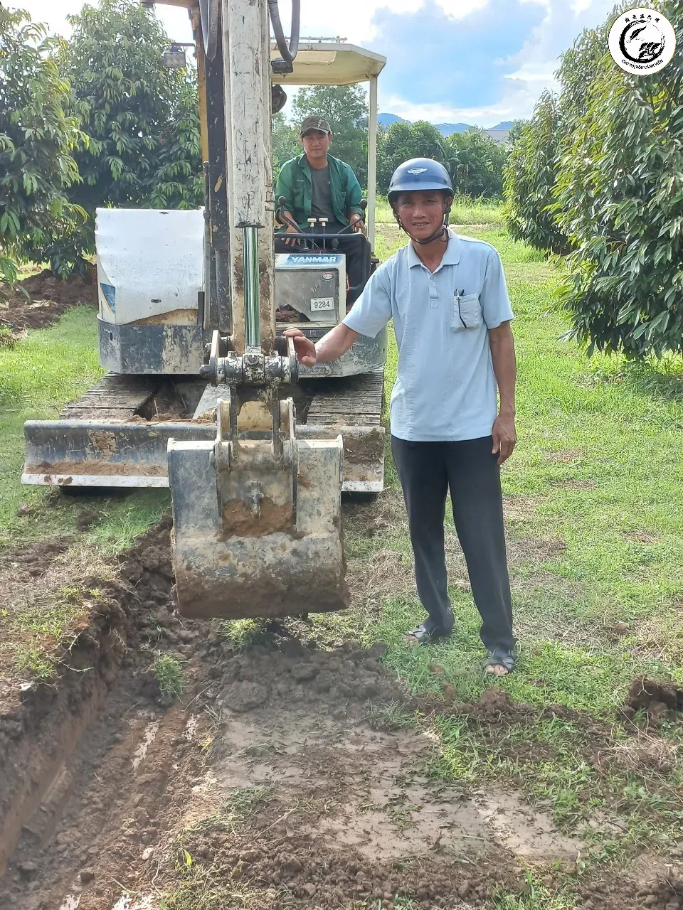 Thi công hệ thống thoát nước bài bản là bước đầu tiên để phòng trừ nấm rễ