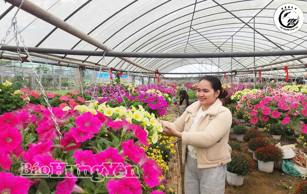 Chăm sóc cây cảnh đúng kỹ thuật giúp duy trì vượng khí và sự tươi mới cho ngôi nhà