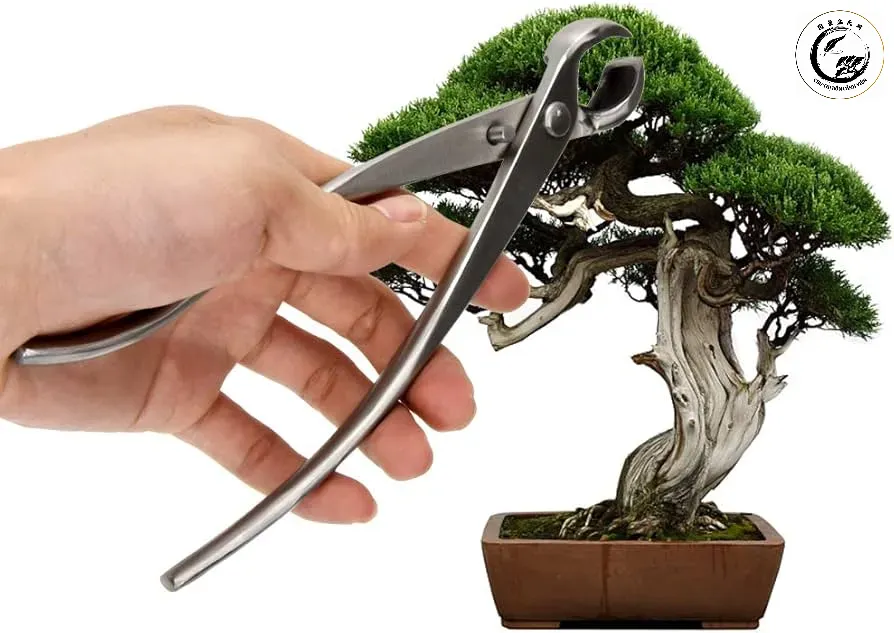 Kìm cạp tròn bonsai thép đúc khối Dụng cụ tối thượng cho nghệ thuật tạo hình cây cảnh