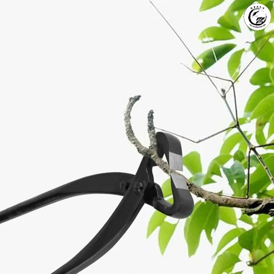 Sự tỉ mỉ trong từng nhát cắt giúp định hình cấu trúc tán lá hài hòa