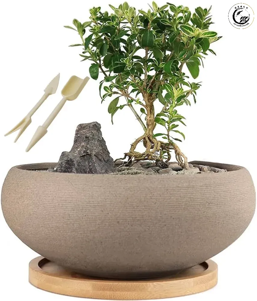 61l0ryoseol-_ac_uf8941000_ql80_ Lựa chọn chậu phù hợp giúp kỹ thuật tưới từ dưới lên đạt hiệu quả tối đa