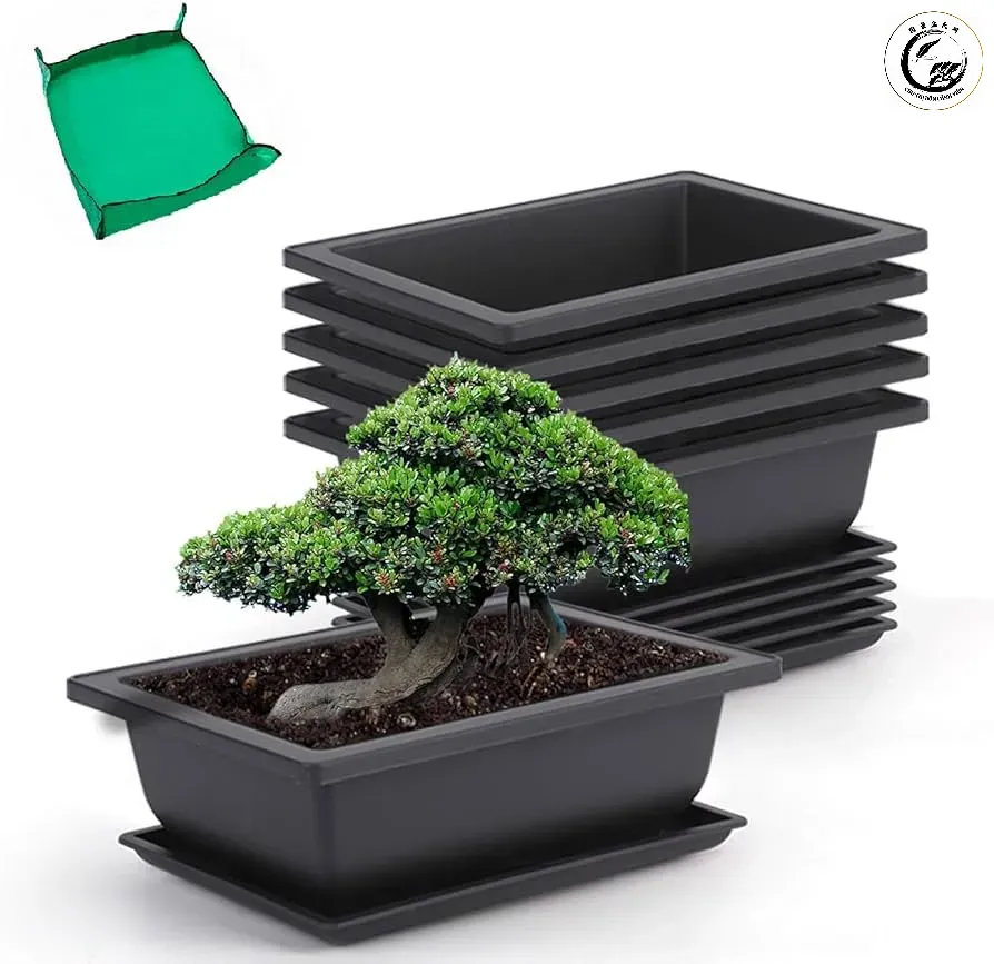 Sự đa dạng về mẫu mã và kích thước của các loại khay nhựa bonsai trên thị trường