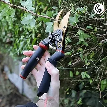 Thiết kế công thái học giúp người dùng thoải mái làm việc trong thời gian dài mà không mỏi tay