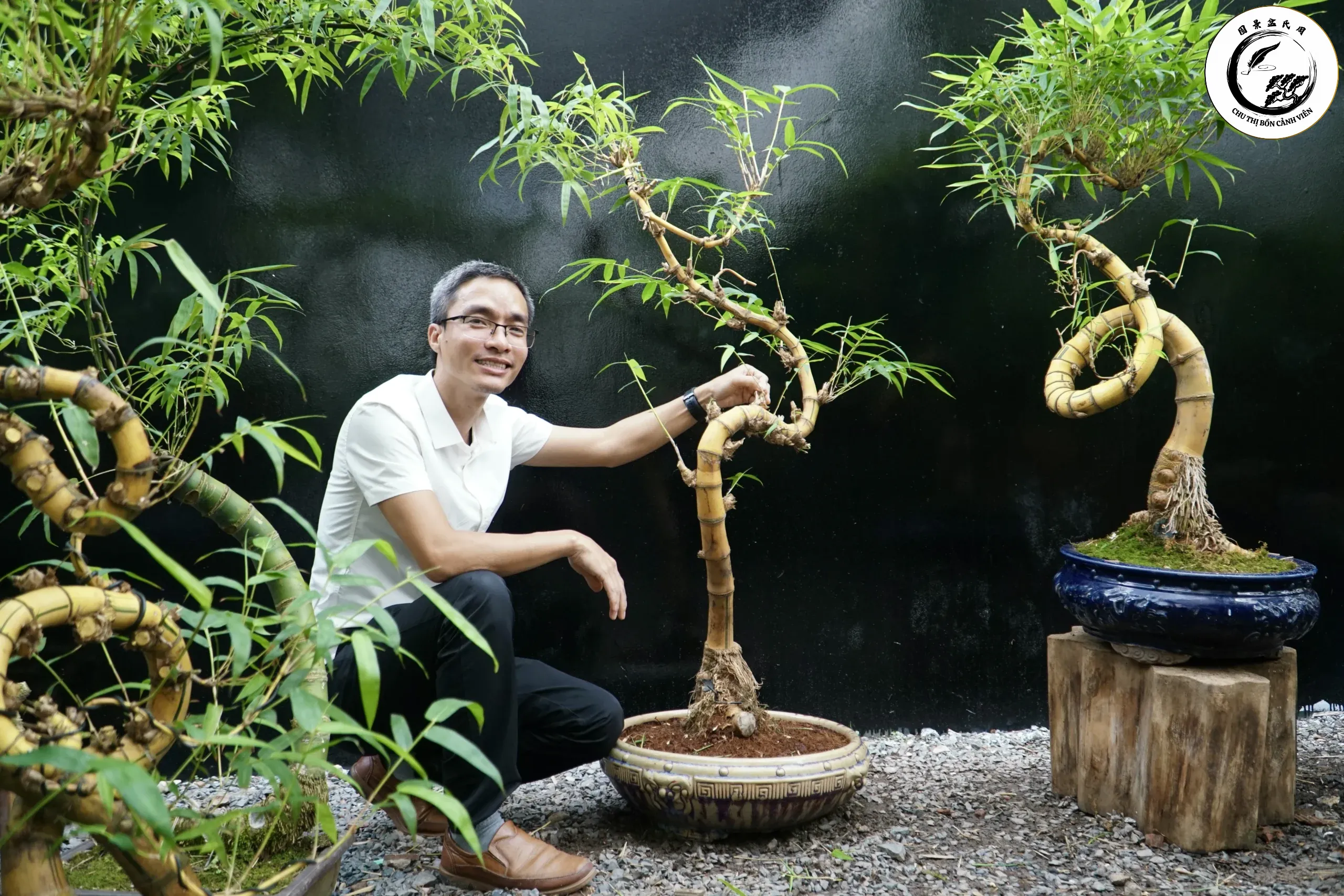 91-chau-tre-bonsai-2-2926-131-scaled-1 Sự kết hợp hoàn hảo giữa cây bonsai nghệ thuật và chậu men rạn cổ điển