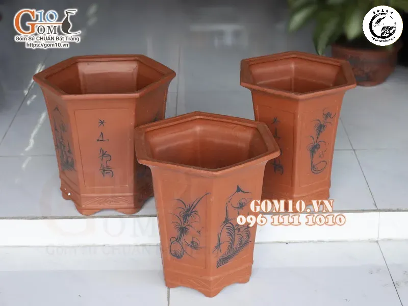 Tác phẩm bonsai dáng trực uy nghi được tôn vinh vẻ đẹp trong chậu lục giác