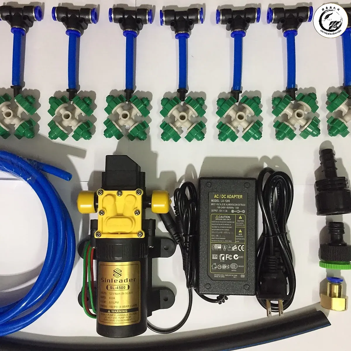 Sử dụng bình phun sương giúp duy trì độ ẩm lý tưởng cho nụ và lá mai vàng mini