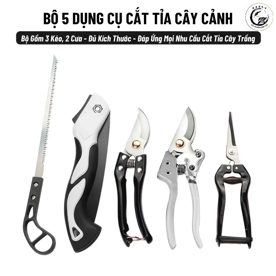 Sử dụng dụng cụ sắc bén và được khử trùng là yếu tố then chốt trong cắt tỉa
