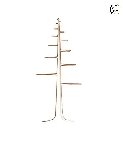 Sơ đồ minh họa áp dụng tỷ lệ Fibonacci để xác định vị trí cành 1 trên thân Bonsai