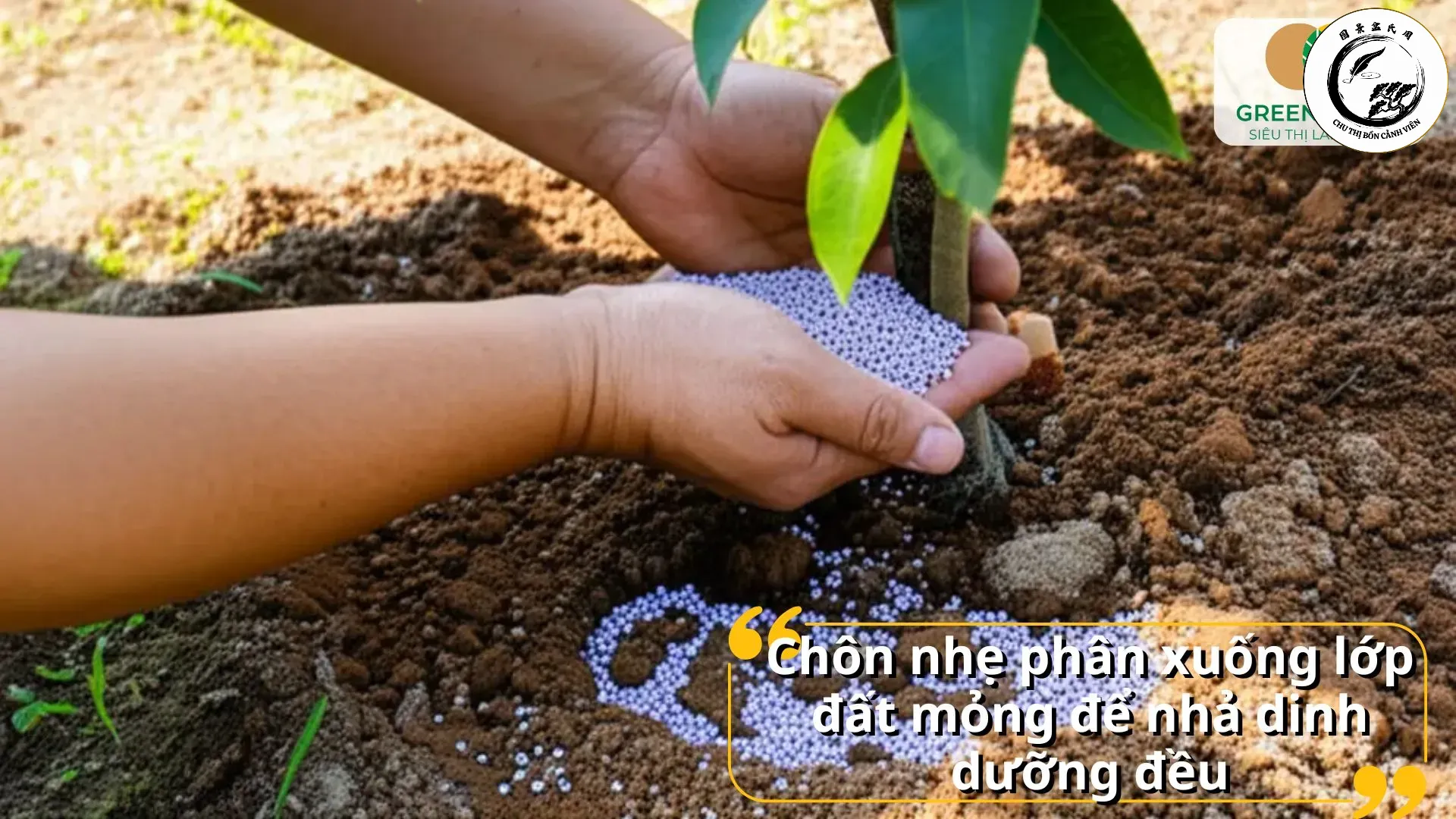 cach-bon-phan-tan-cham-han-che-rua-troi-khi-tuoi-nuoc-hoac-mua-lon Bón phân đúng cách giúp cây hấp thụ dưỡng chất hiệu quả nhất