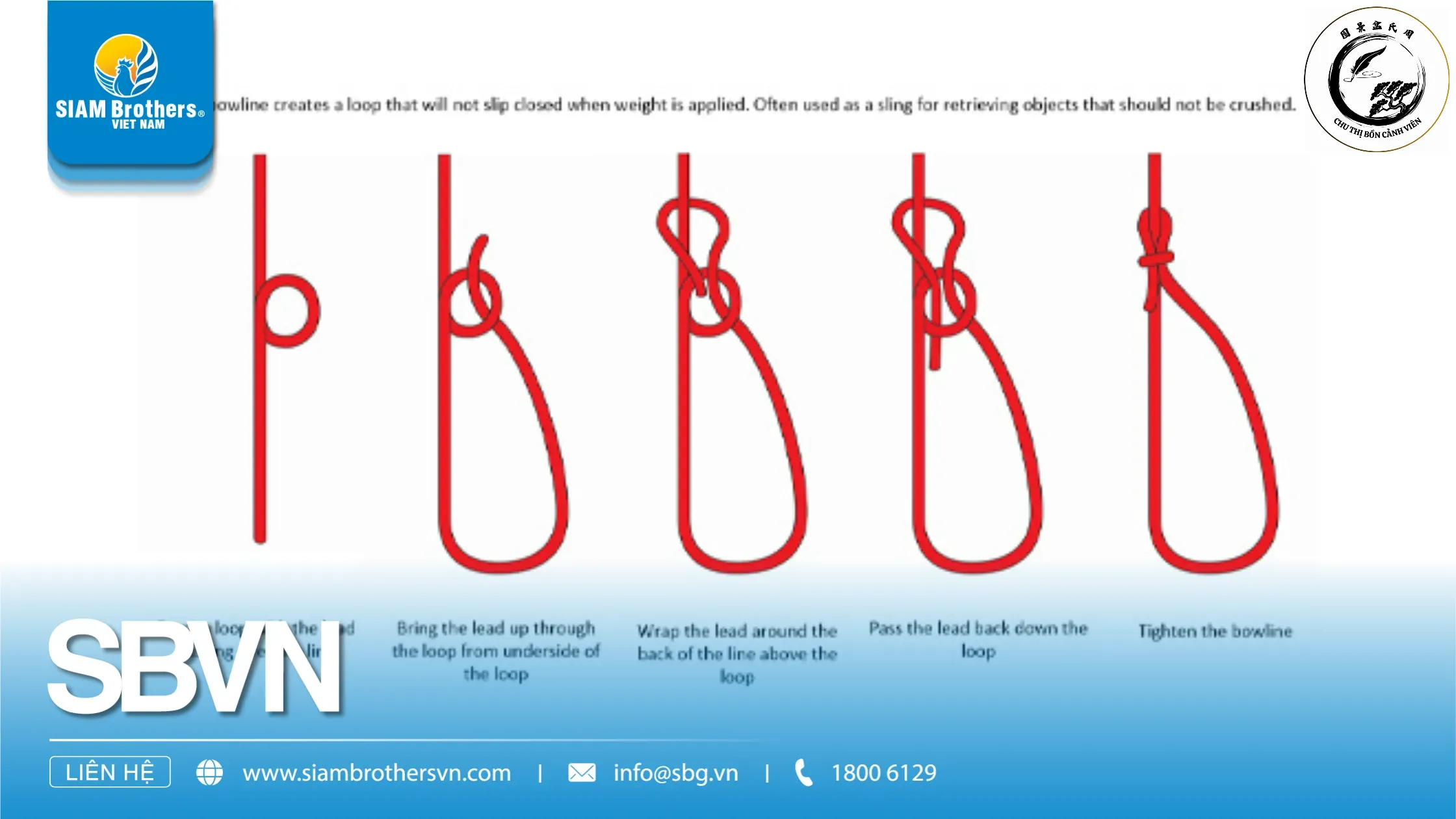 Thao tác buộc dây cần sự tỉ mỉ để không làm tổn thương lớp vỏ của cành cây
