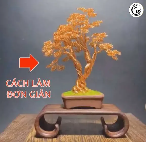 Dây đồng là lựa chọn tối ưu cho các dòng cây lá kim nhờ khả năng định hình mạnh mẽ