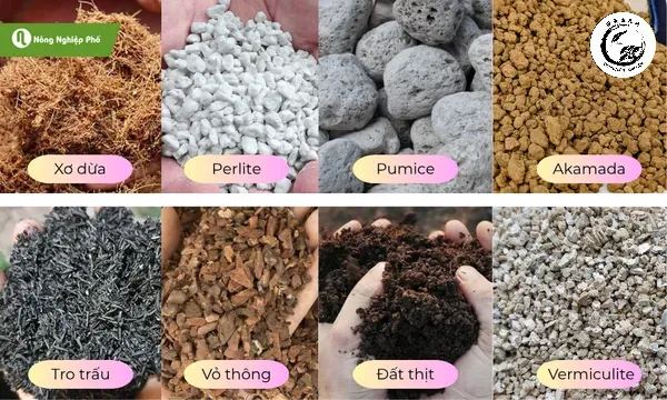 Hỗn hợp đất trồng chuyên dụng đảm bảo độ tơi xốp và thoát nước cho bonsai