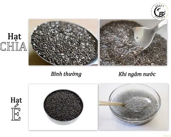cach-phan-biet-hat-chia-gia-3_9d7eecb40a0941398420ff210c183c6e_grande Quan sát kỹ đặc điểm hạt phân để tránh mua phải hàng giả kém chất lượng