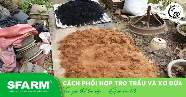 Sự kết hợp giữa tro trấu và xơ dừa tạo nên giá thể lý tưởng cho cây trồng