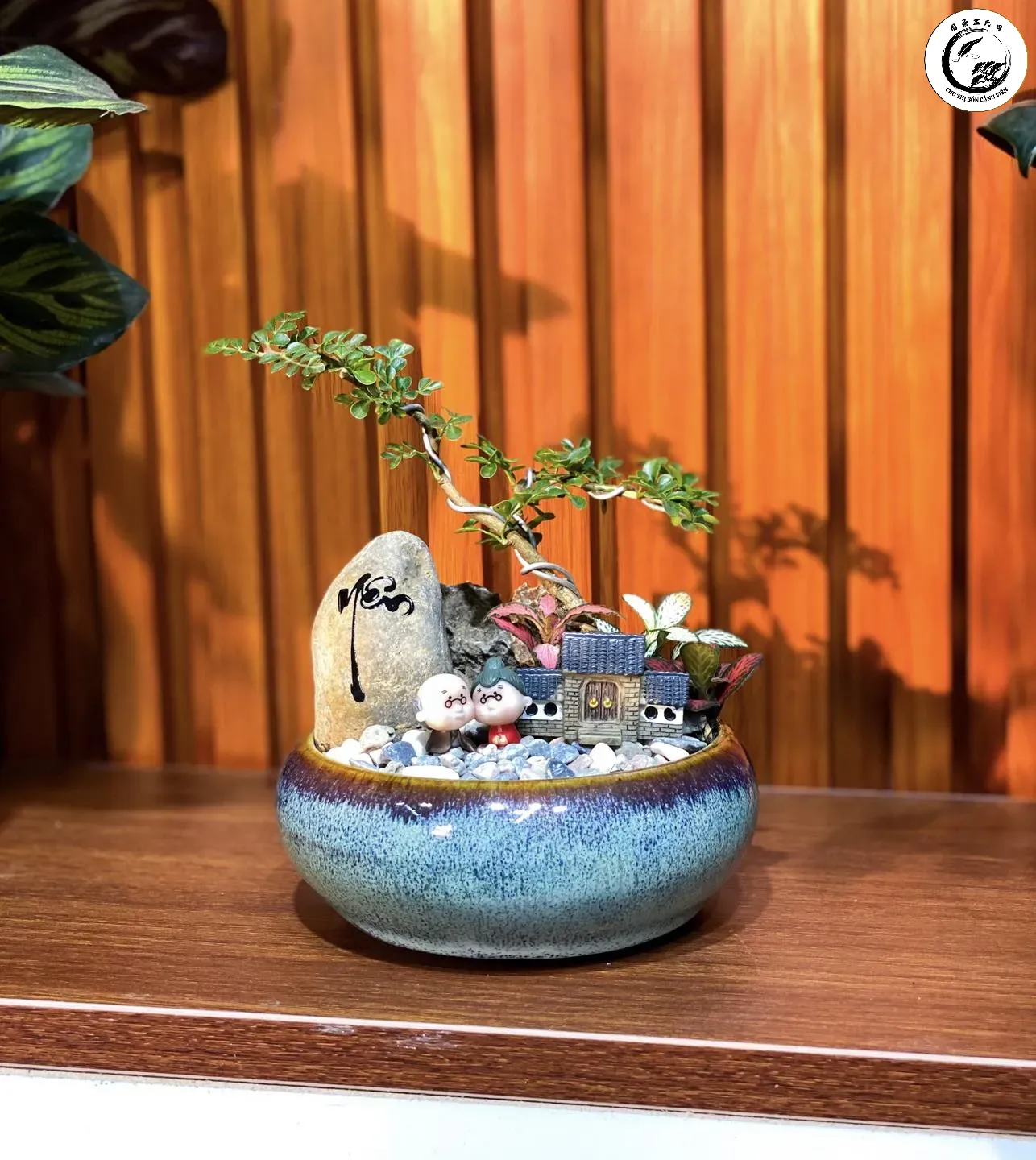 Trồng bonsai mini bằng xỉ than đập là giải pháp bền vững và hiệu quả cho người chơi cây cảnh