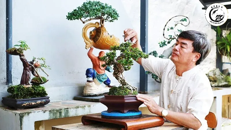 cay-canh-bonsai-mini-1-1103-6 Sử dụng bàn xoay để quan sát đa chiều là cách tốt nhất để phát hiện lỗi sắp xếp cành