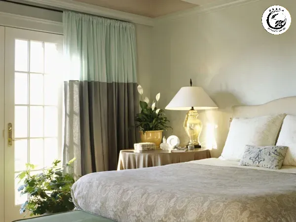 Vị trí đặt cây Lan Ý hợp lý giúp tối ưu hóa dòng khí và ánh sáng