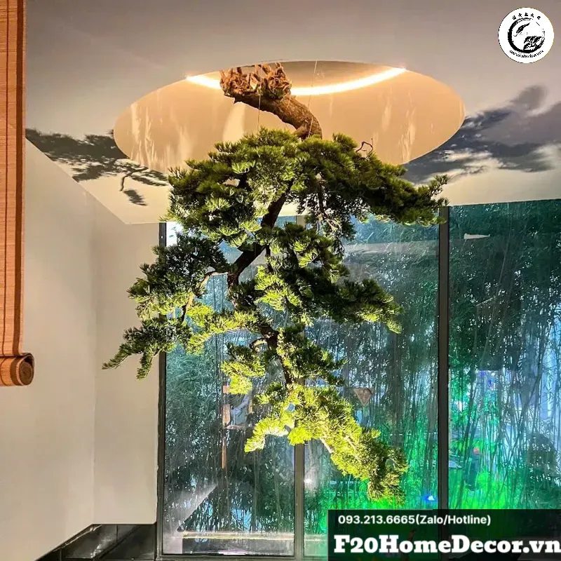Bonsai không chỉ là nghệ thuật mà còn là vật phẩm phong thủy mạnh mẽ cho người mệnh Mộc