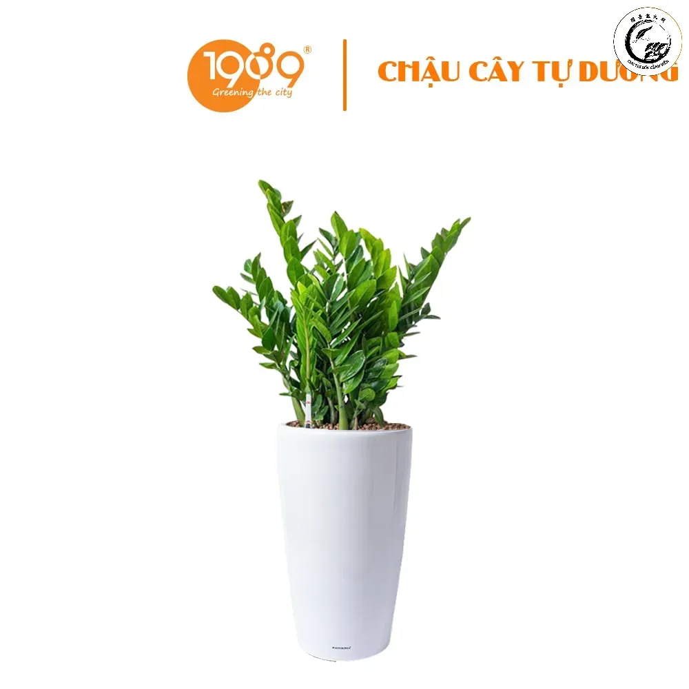 Sự kết hợp giữa cây xanh và công nghệ chậu tự dưỡng thông minh là bước đột phá trong năm 2026