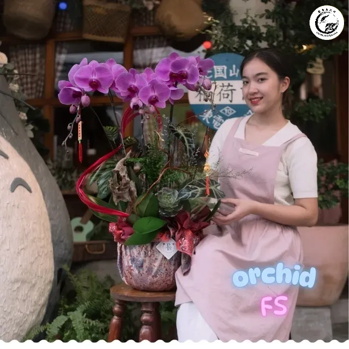 Tương tác trực tiếp với hoa Lan là cách hiệu quả để giảm cortisol và gia tăng chỉ số hạnh phúc