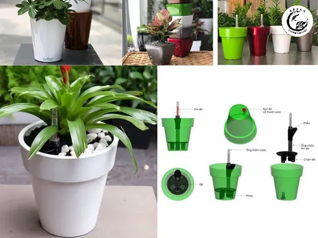 Nhiều loại cây trồng đạt năng suất cao hơn hẳn khi áp dụng tưới thẩm thấu ngược