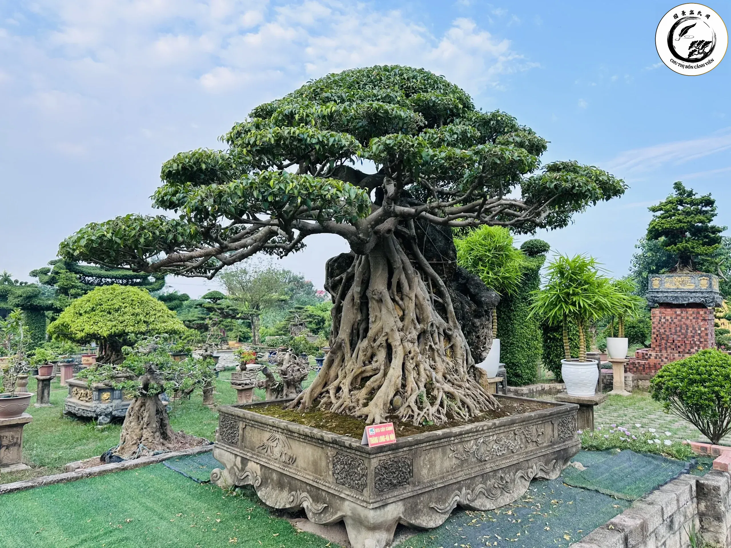 Sự khéo léo của nghệ nhân làng nghề tạo nên giá trị cho sanh Nam Điền
