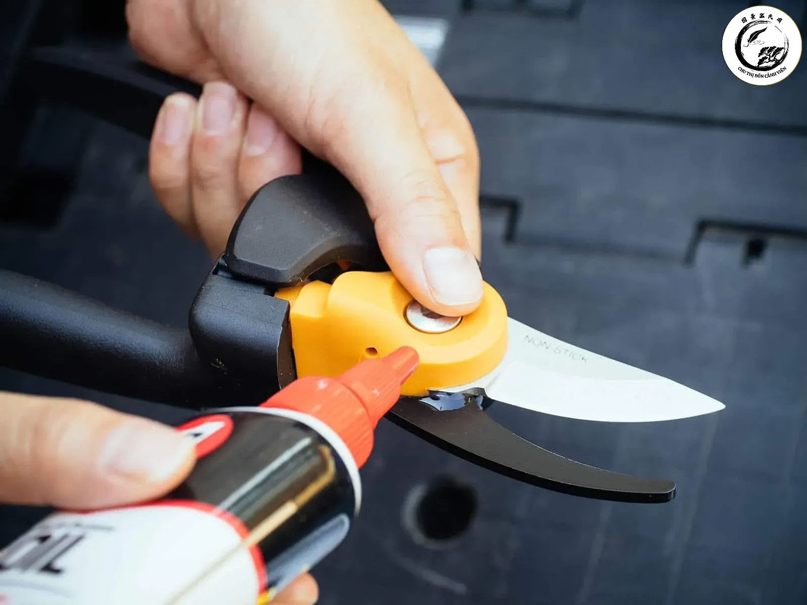 clean-garden-tools-05 Bôi trơn bằng dầu chuyên dụng giúp kéo tỉa hoạt động trơn tru và chống rỉ sét