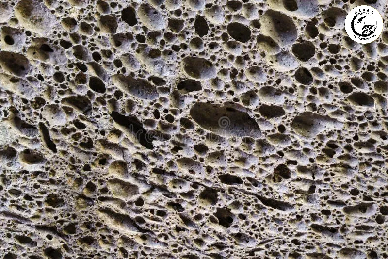 Cấu trúc lỗ rỗng dày đặc của đá Pumice giúp thoát nước và giữ khí hiệu quả
