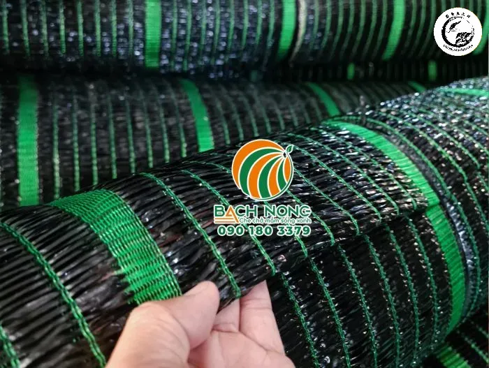Lựa chọn màu sắc lưới lan phù hợp với đặc tính sinh học của cây trồng
