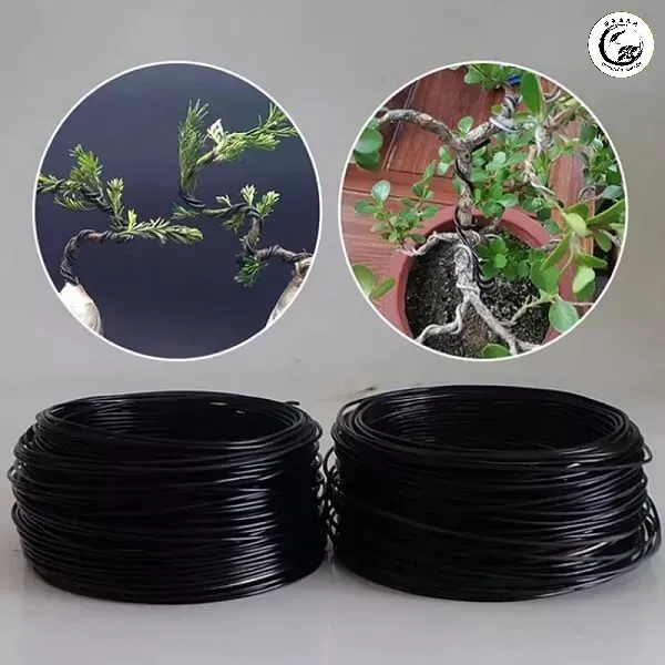 Sự khác biệt về độ dày và khả năng giữ nếp giữa dây đồng và dây nhôm khi áp dụng trên cùng một kích thước cành