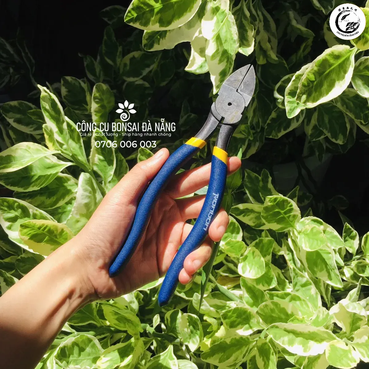 Sử dụng kìm cắt chuyên dụng là phương pháp an toàn nhất khi tháo dây uốn