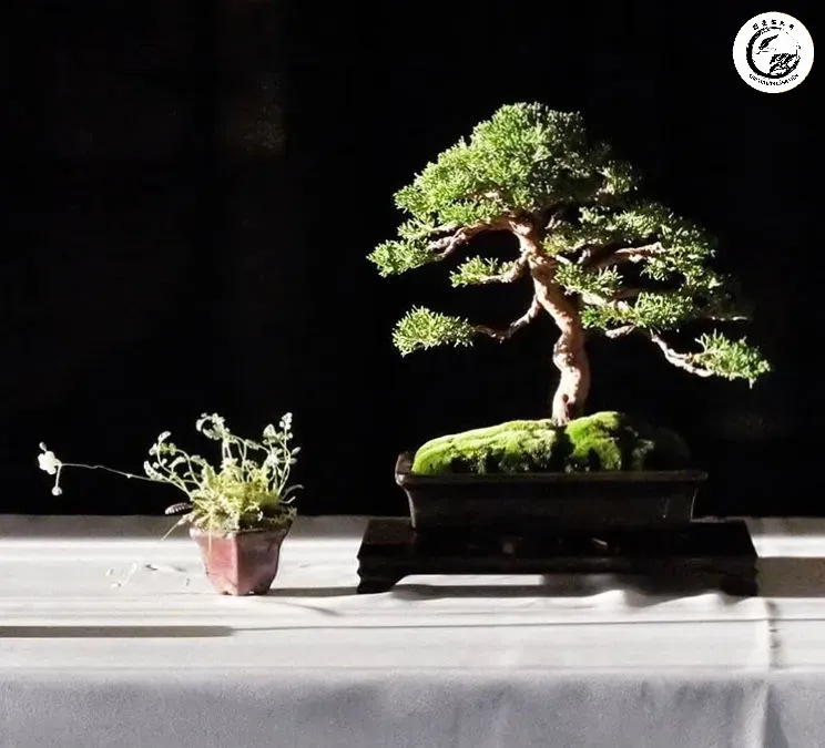 Góc chụp ngang tầm mắt mang lại cái nhìn chân thực và cân đối cho tổng thể tác phẩm