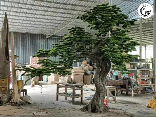 Bonsai tùng kim cương đắt giá đẳng cấp kiến tạo không gian sống sang trọng và quyền quý
