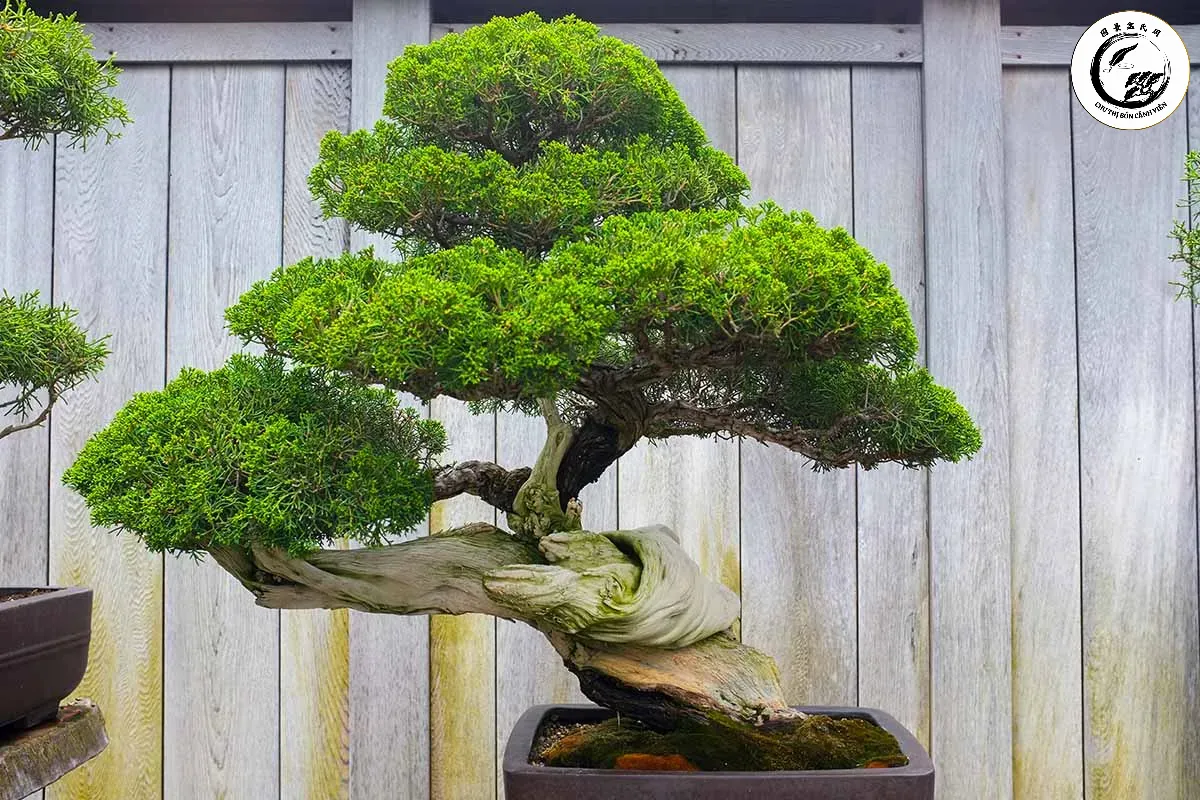 Sự tỉ mỉ trong từng đường kéo giúp duy trì cấu trúc phân tầng của tác phẩm