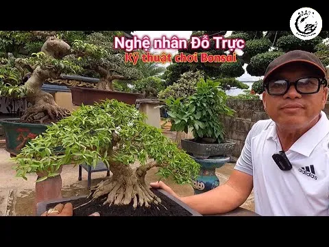 hqdefault-3 Sử dụng bàn xoay là kỹ thuật cơ bản để tìm ra góc nhìn hoàn hảo nhất cho cây