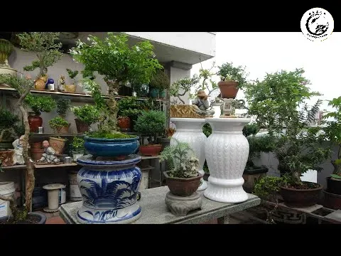 Đôn gốm tráng men là phụ kiện không thể thiếu để nâng tầm vẻ đẹp cho không gian sân vườn