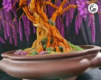 Kỹ thuật uốn dây nhôm tỉ mỉ để định hình nhịp rơi cho cây Tử Đằng