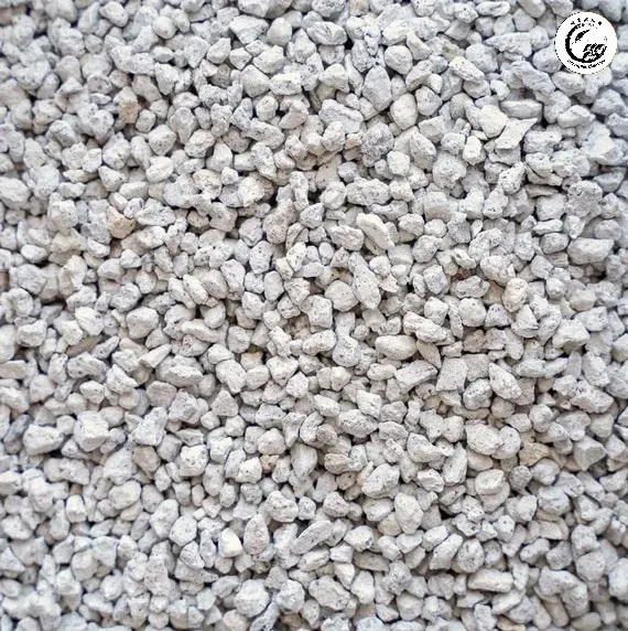 Đất nung nham thạch Pumice xốp rễ với cấu trúc tổ ong đặc trưng
