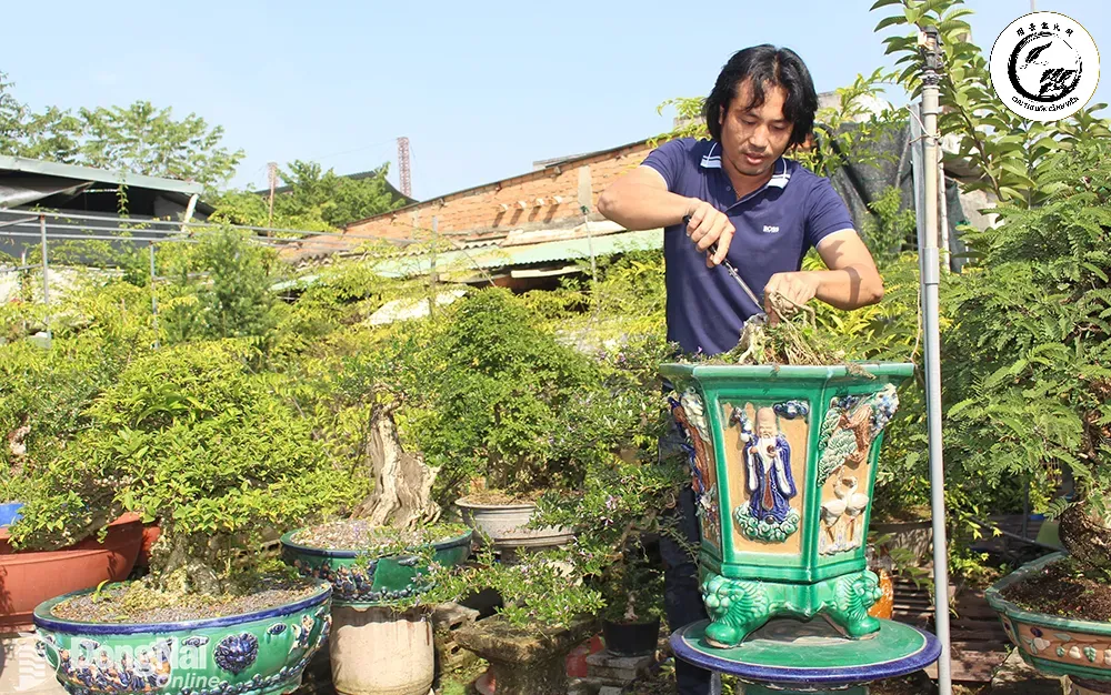 Sự phối hợp hoàn hảo giữa màu men gốm và sắc xanh của lá cây tạo nên tác phẩm nghệ thuật đẳng cấp