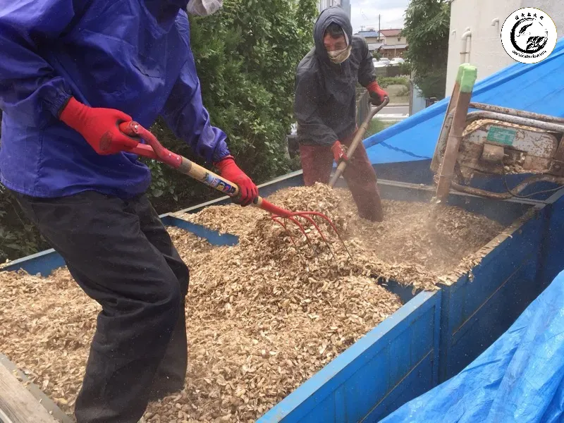 Xử lý vỏ đậu phộng kỹ lưỡng là bước quan trọng để loại bỏ mầm bệnh trước khi sử dụng