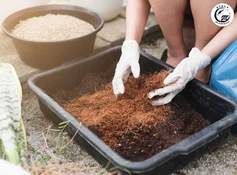 Tỷ lệ phối trộn hợp lý giúp cây trồng có môi trường sinh trưởng tối ưu