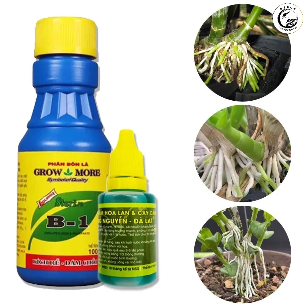 Pha đúng liều lượng là yếu tố then chốt quyết định thành công