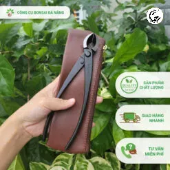 Sử dụng kìm xéo cắt kẽm chuyên dụng bonsai giúp thao tác chính xác và bảo vệ cây