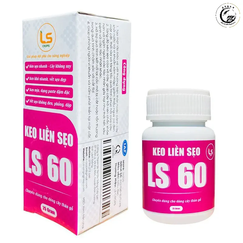 Sử dụng keo liền sẹo chất lượng cao giúp cành cây nhanh chóng hồi phục sau khi chẻ dọc