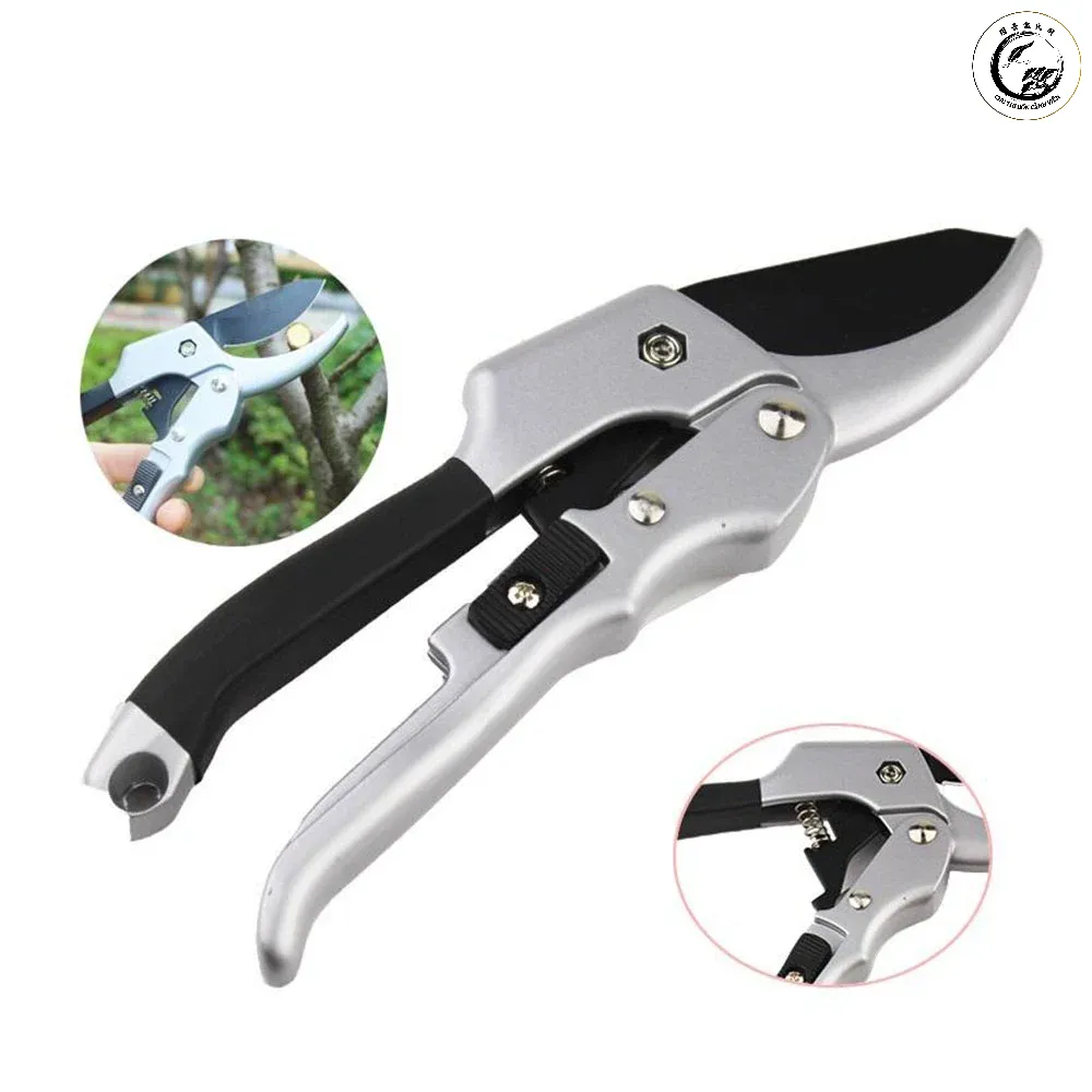 keo-cat-tia-canh-cay_-kim-tia-cay-1-2_59d3d659f3c44c7190cbcfac237d1e3c Kiểm tra chốt xoay và độ sạch của nhựa cây nếu kéo vẫn bị rít sau khi tra dầu