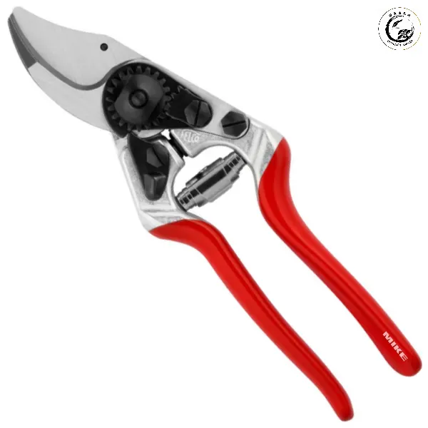 Công tác cắt tỉa và bón phân lân kali giúp cây chuẩn bị nội lực tốt nhất
