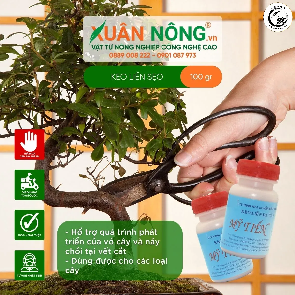 Kỹ thuật quét keo cần đảm bảo độ che phủ kín và tràn nhẹ ra mép vỏ