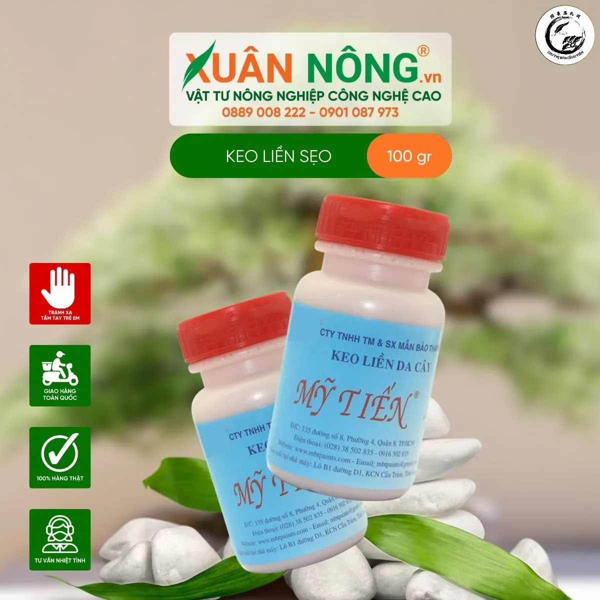 Sử dụng keo chuyên dụng là bước bắt buộc để bảo vệ các vết thương và hỗ trợ cây nhanh phục hồi