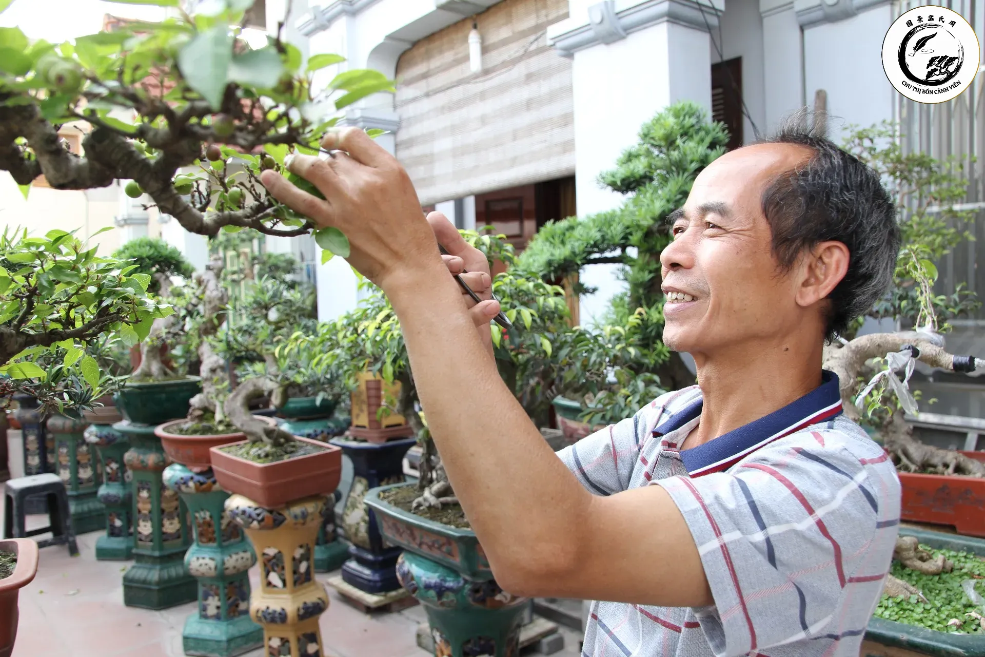 Việc cắt tỉa định kỳ là yếu tố then chốt để duy trì vẻ đẹp của Bonsai